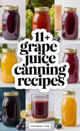 11-grape-juice-canning-recipes-ccccc-32142