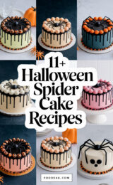 11-halloween-spider-cake-recipes-ccccc-15687