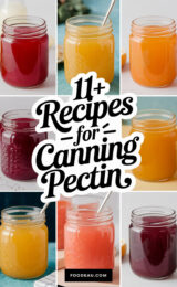 11+ Recipes for Canning Pectin 11-recipes-for-canning-pectin-ccccc-23226