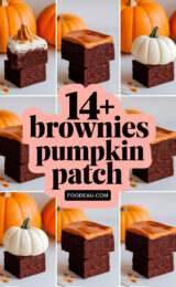 14-brownies-in-a-pumpkin-patch-ccccc-81160