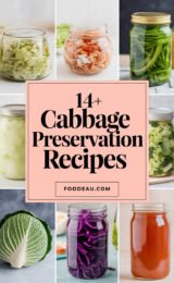 14+ Ways of Cabbage Preservation Recipes 14-cabbage-preservation-recipes-ccccc-25296