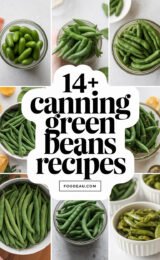 14+ Canning Green Beans in a Pressure Cooker Recipes 14-canning-green-beans-recipes-ccccc-19018