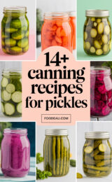 14+ Canning Recipes for Garlic Pickles 14-canning-recipes-for-pickles-ccccc-71885