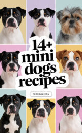 14-mini-dogs-recipes-ccccc-76916