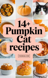 14-pumpkin-cat-recipes-ccccc-45968