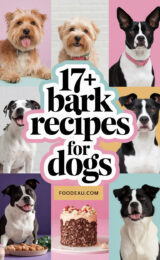 17-bark-recipes-for-dogs-ccccc-64503