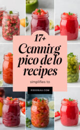 17+ Canning Pico de Gallo Recipes 17-canning-pico-de-gallo-recipes-simplifies-to-17-canning-pico-de-gallo-ccccc-62636