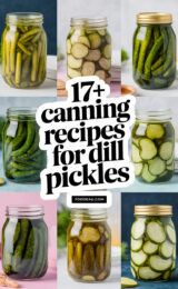 17+ Canning Recipes for Kosher Dill Pickles 17-canning-recipes-for-dill-pickles-ccccc-21482