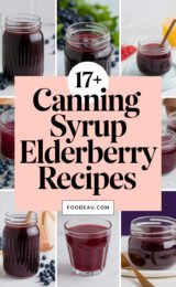 17+ Canning Syrup Elderberry Recipes 17-canning-syrup-elderberry-recipes-can-be-simplified-to-17-elderberry-recipes-ccccc-43280