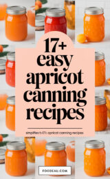17-easy-apricot-canning-recipes-simplifies-to-17-apricot-canning-recipes-ccccc-72681