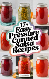 17+ Easy Recipes for Pressure Canned Salsa 17-easy-pressure-canned-salsa-recipes-ccccc-11389