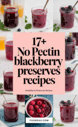 17-no-pectin-blackberry-preserves-recipes-simplifies-to-17-blackberry-preserves-recipes-ccccc-10697