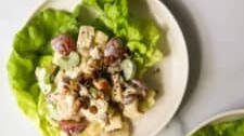 Apple Walnut Chicken Salad