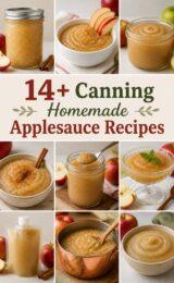14+ Homemade Applesauce Canning Recipes applesauce-ccccc-88483