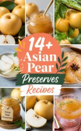 asian-pear-ccccc-19558