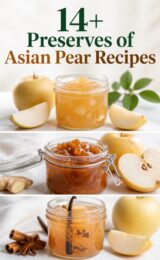 14+ Preserves of Asian Pear Recipes asian-pear-preserves-ccccc-16310