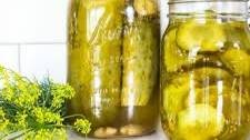 Best Homemade Pickles Recipe (Garlic Dill Pickles)