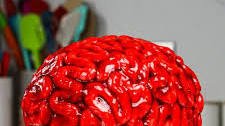Brain Cake