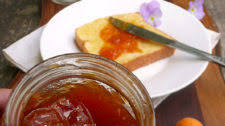 Brandied Ginger Apricot Jam