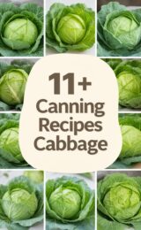 cabbage-ccccc-46798