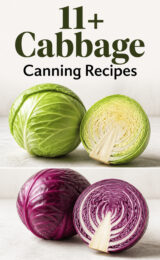 11+ Canning Recipes with Cabbage cabbage-ccccc-82390