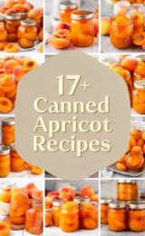 canned-apricot-ccccc-18220