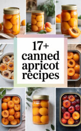 canned-apricot-ccccc-35274