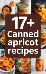 17+ Canned Apricot Recipes canned-apricot-ccccc-79480