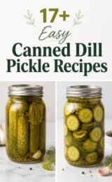 17+ Easy Canned Dill Pickle Recipes canned-dill-pickle-ccccc-15523