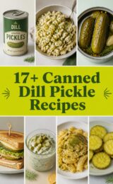 canned-dill-pickle-ccccc-74031
