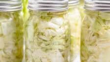 Canning Cabbage