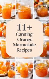canning-orange-marmalade-ccccc-90340