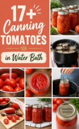 canning-tomatoes-ccccc-26517