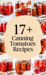 canning-tomatoes-ccccc-58188