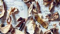 Chestnut & Wild Mushroom Risotto recipe | Russell Norman