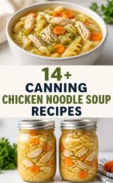 chicken-noodle-soup-ccccc-46199