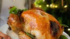 Christmas Turkey with Amazing Apple, Sage and Cashew Stuffing