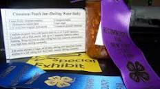 Cinnamon Peach Jam (Water Bath)