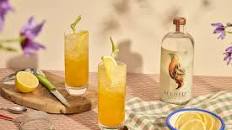 Citrus non alcoholic ginger fizz