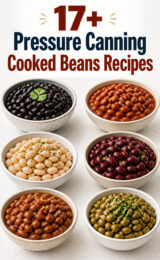 17+ Pressure Canning Cooked Beans Recipes cooked-beans-ccccc-10562