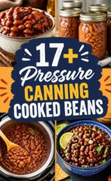 cooked-beans-ccccc-48807