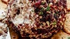 Cranberry Pecan Cheese Ball Appetizer