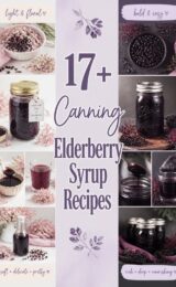 17+ Canning Syrup Elderberry Recipes elderberry-ccccc-33370