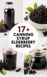 elderberry-ccccc-81925