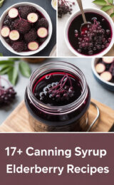 elderberry-recipes-ccccc-19119