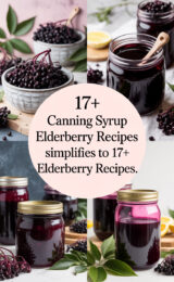 elderberry-recipes-ccccc-51142