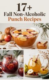 17+ Fall Non-Alcoholic Punch Recipes fall-non-alcoholic-ccccc-43375