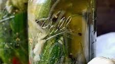 Garlic Jalapeno Dill Refrigerator Pickles