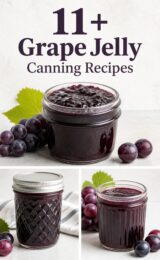 grape-jelly-ccccc-11523