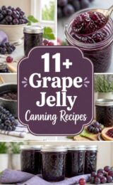 11+ Grape Jelly Canning Recipes grape-jelly-ccccc-29993